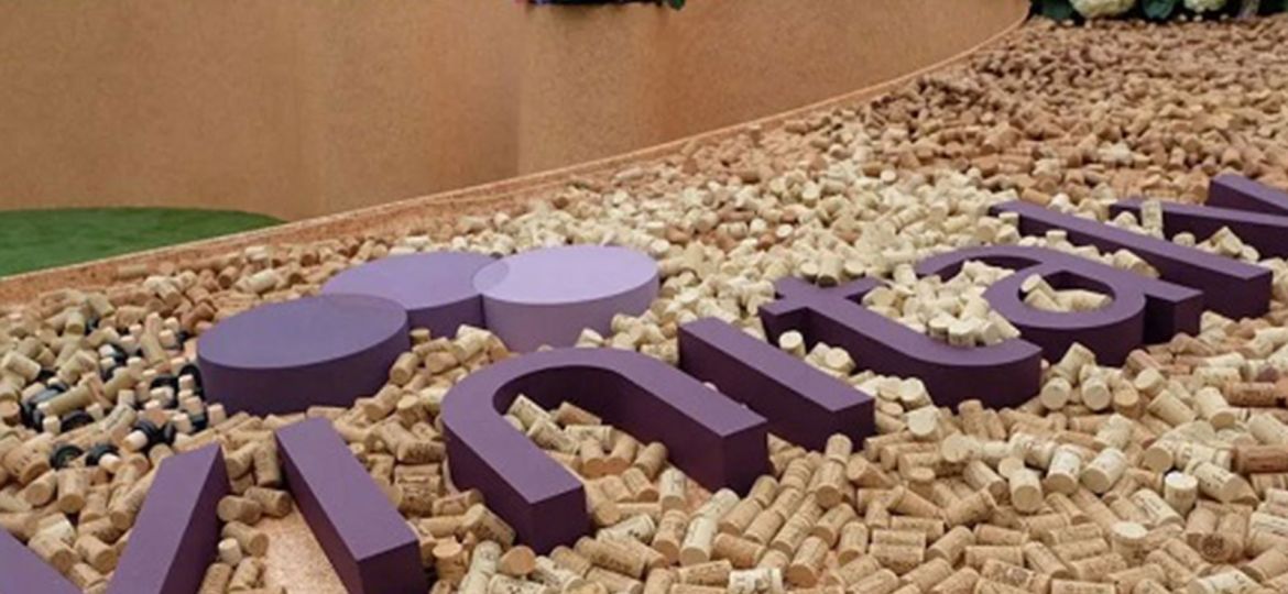 Vinitaly ingresso