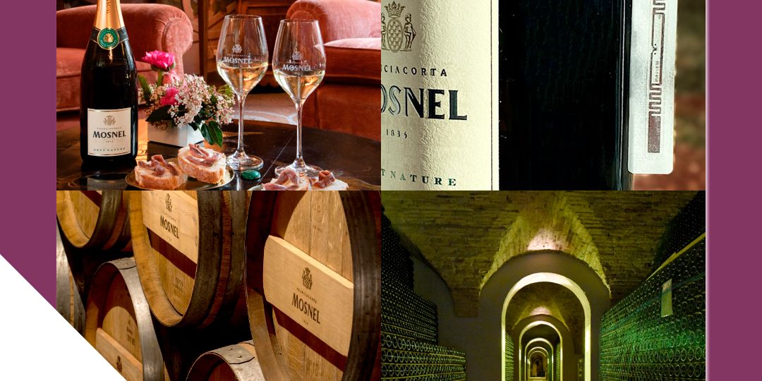 Wineability - Rassegna stampa Cantina Mosnel
